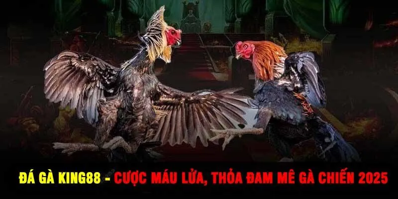 Đá Gà King88 - Cược Máu Lửa, Thỏa Đam Mê Gà Chiến 2025