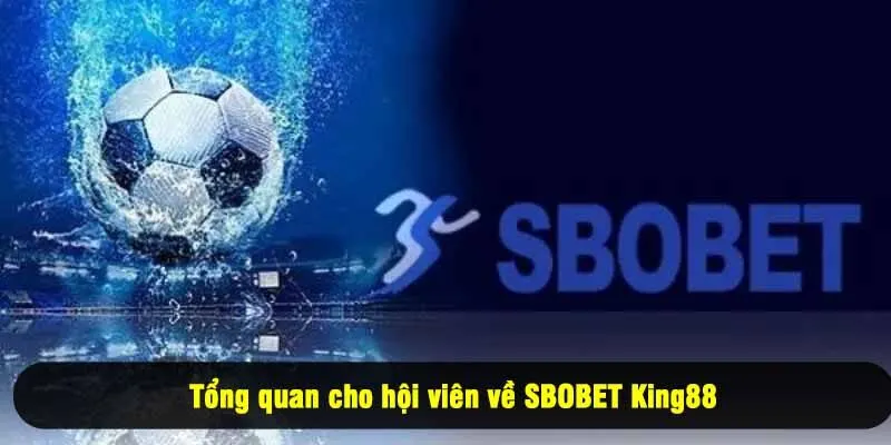 Tổng quan cho hội viên về SBOBET King88