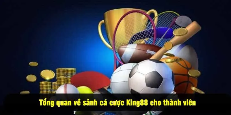 Tổng quan về sảnh cá cược King88 cho thành viên